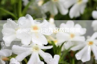长宁579九宫格如何排
