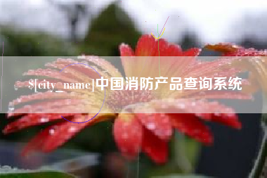 长宁中国消防产品查询系统