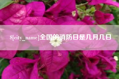 长宁全国的消防日是几月几日
