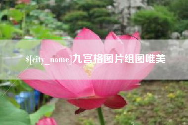 长宁九宫格图片组图唯美