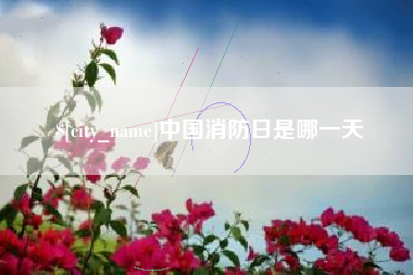 长宁中国消防日是哪一天