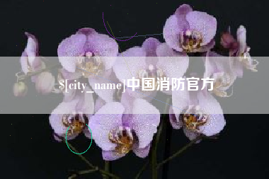 长宁中国消防官方