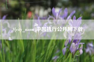 长宁中国执行公开网下载