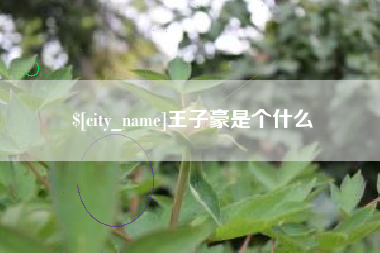 长宁王子豪是个什么