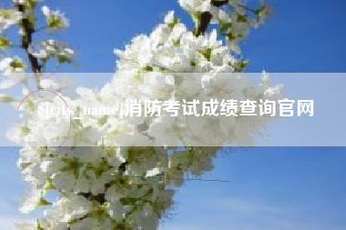 长宁消防考试成绩查询官网