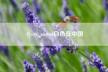 长宁白色在中国