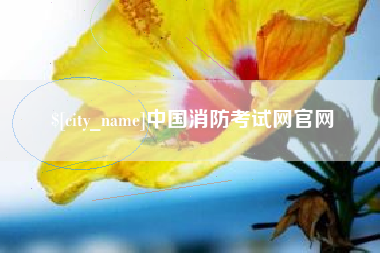 长宁中国消防考试网官网
