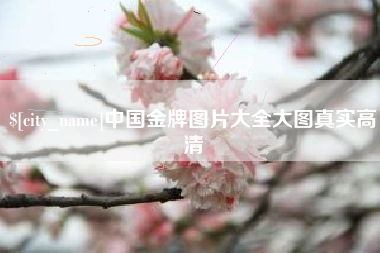 长宁中国金牌图片大全大图真实高清