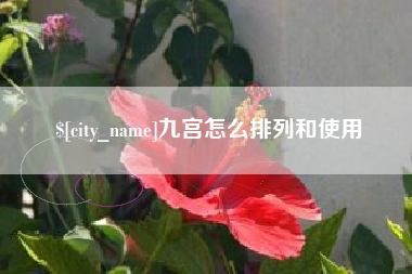 长宁九宫怎么排列和使用