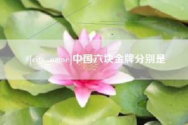 长宁中国六块金牌分别是