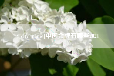 长宁中国金牌有哪些2021