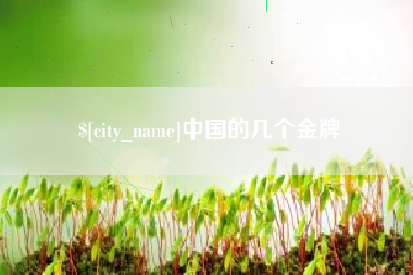 长宁中国的几个金牌