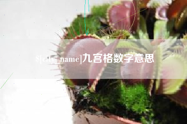 长宁九宫格数字意思