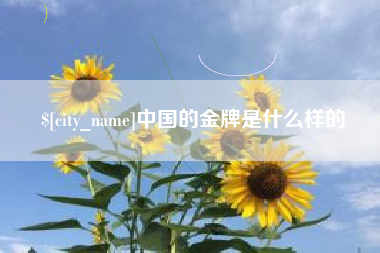 长宁中国的金牌是什么样的
