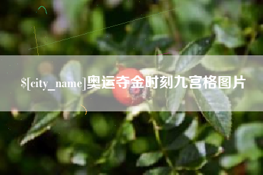 长宁奥运夺金时刻九宫格图片