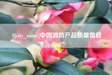 长宁中国消防产品质量信息