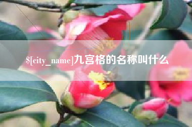 长宁九宫格的名称叫什么