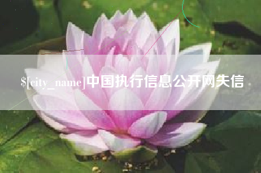 长宁中国执行信息公开网失信