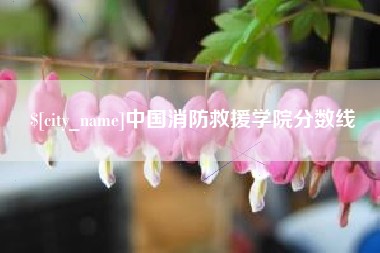 长宁中国消防救援学院分数线
