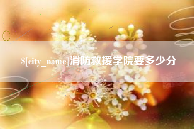 长宁消防救援学院要多少分