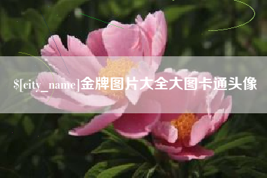 长宁金牌图片大全大图卡通头像