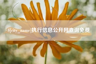 长宁执行信息公开网查询免费