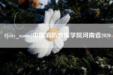 长宁中国消防救援学院河南省2020